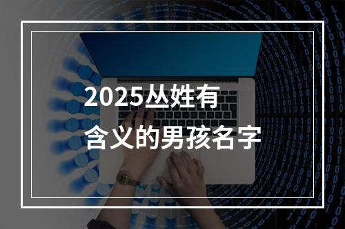 2025丛姓有含义的男孩名字