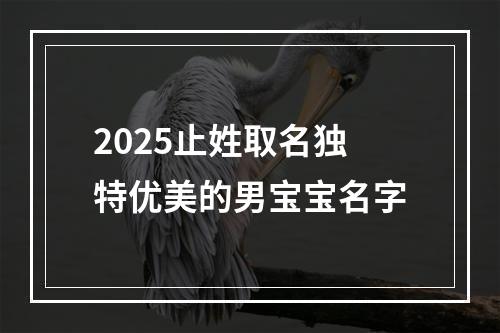 2025止姓取名独特优美的男宝宝名字