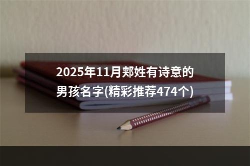 2025年11月郏姓有诗意的男孩名字(精彩推荐474个)