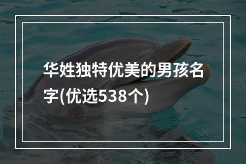 华姓独特优美的男孩名字(优选538个)