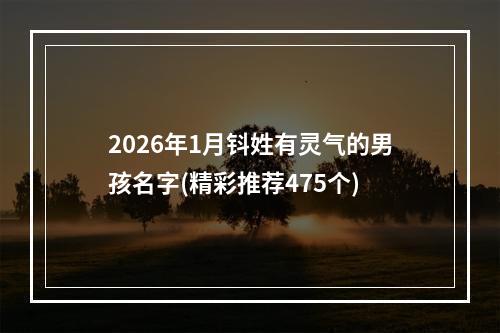 2026年1月钭姓有灵气的男孩名字(精彩推荐475个)