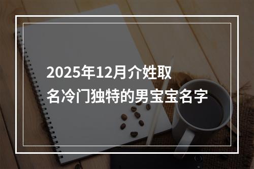 2025年12月介姓取名冷门独特的男宝宝名字