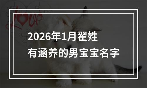 2026年1月翟姓有涵养的男宝宝名字
