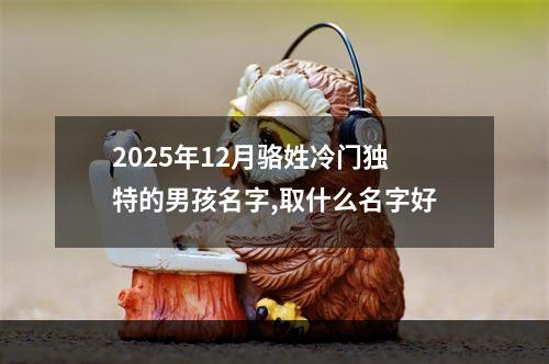 2025年12月骆姓冷门独特的男孩名字,取什么名字好