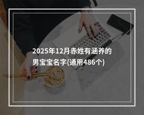 2025年12月赤姓有涵养的男宝宝名字(通用486个)