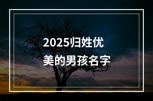 2025归姓优美的男孩名字