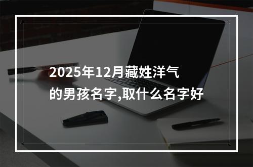 2025年12月藏姓洋气的男孩名字,取什么名字好