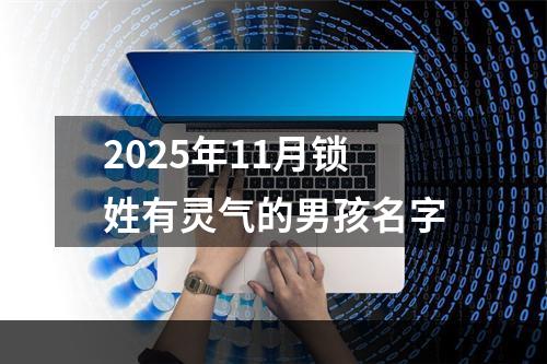 2025年11月锁姓有灵气的男孩名字
