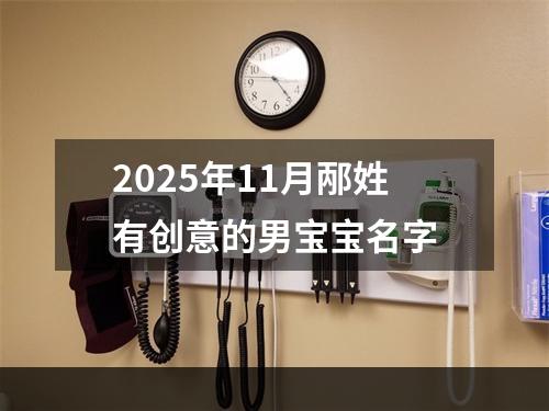 2025年11月邴姓有创意的男宝宝名字