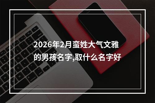2026年2月蛮姓大气文雅的男孩名字,取什么名字好