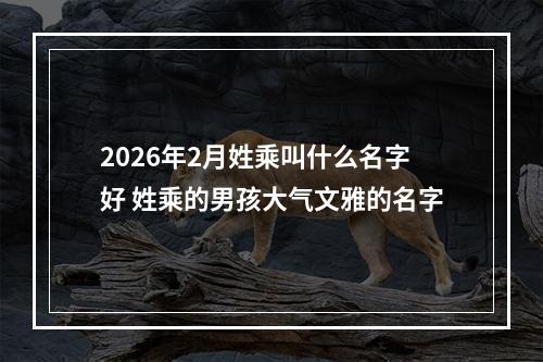 2026年2月姓乘叫什么名字好 姓乘的男孩大气文雅的名字