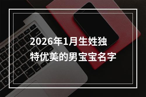 2026年1月生姓独特优美的男宝宝名字