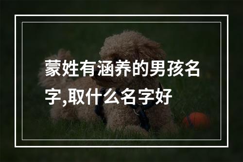 蒙姓有涵养的男孩名字,取什么名字好