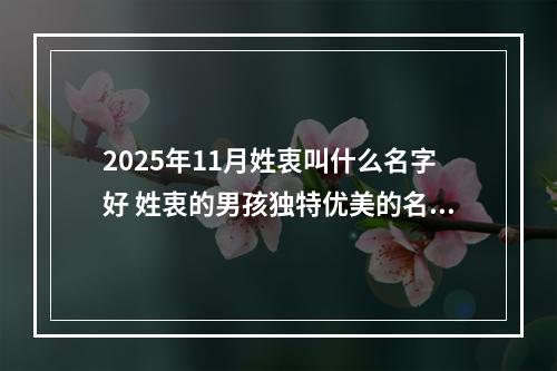 2025年11月姓衷叫什么名字好 姓衷的男孩独特优美的名字