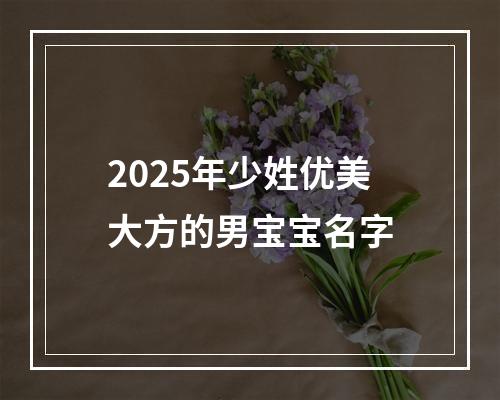 2025年少姓优美大方的男宝宝名字
