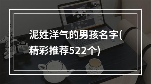 泥姓洋气的男孩名字(精彩推荐522个)