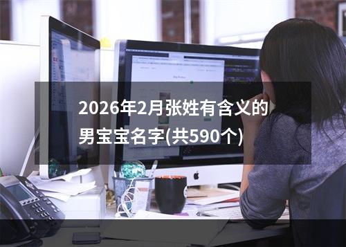 2026年2月张姓有含义的男宝宝名字(共590个)