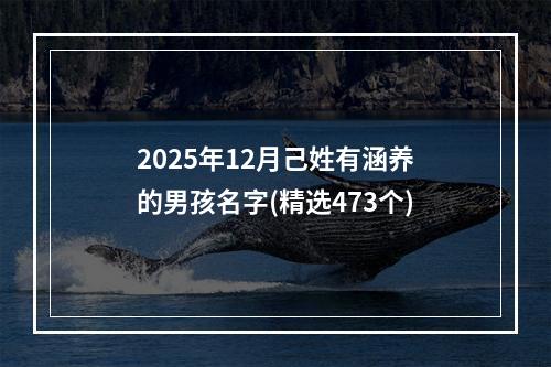 2025年12月己姓有涵养的男孩名字(精选473个)