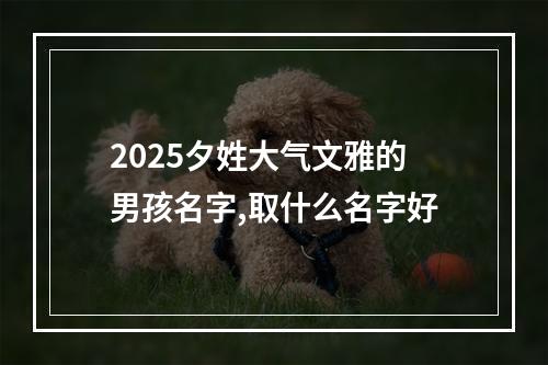 2025夕姓大气文雅的男孩名字,取什么名字好