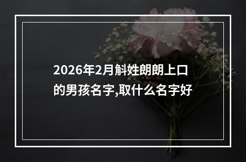 2026年2月斛姓朗朗上口的男孩名字,取什么名字好