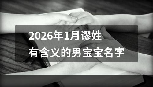 2026年1月谬姓有含义的男宝宝名字