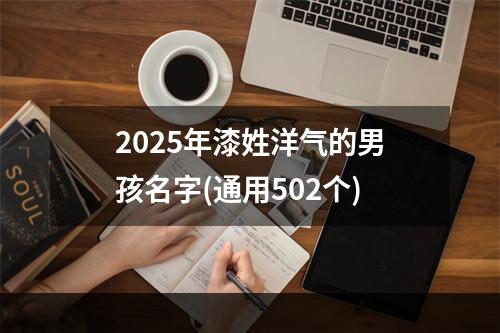 2025年漆姓洋气的男孩名字(通用502个)