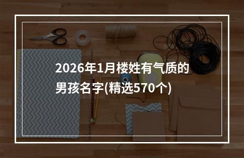 2026年1月楼姓有气质的男孩名字(精选570个)
