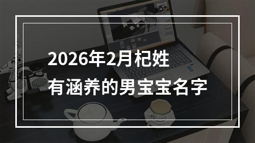 2026年2月杞姓有涵养的男宝宝名字