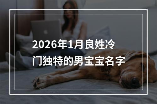 2026年1月良姓冷门独特的男宝宝名字