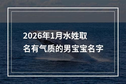 2026年1月水姓取名有气质的男宝宝名字
