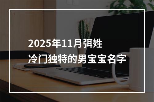 2025年11月弭姓冷门独特的男宝宝名字