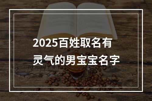 2025百姓取名有灵气的男宝宝名字