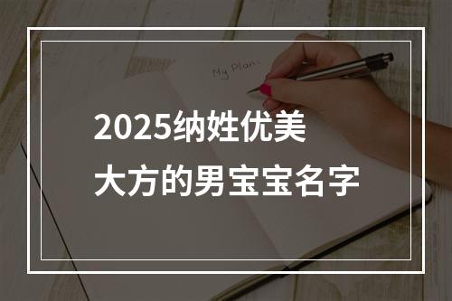 2025纳姓优美大方的男宝宝名字