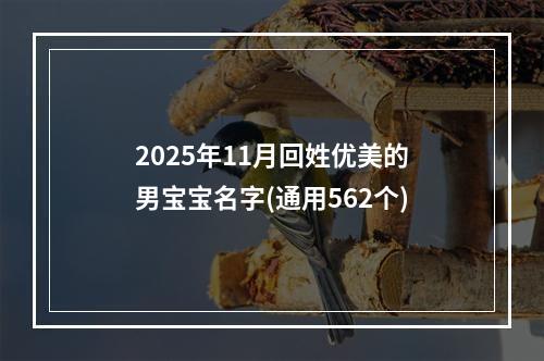 2025年11月回姓优美的男宝宝名字(通用562个)