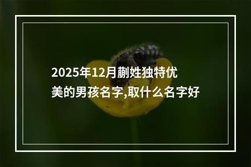 2025年12月蒯姓独特优美的男孩名字,取什么名字好