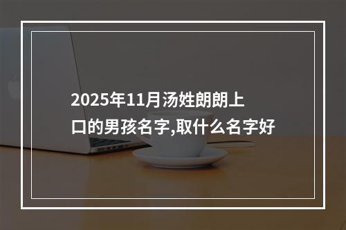 2025年11月汤姓朗朗上口的男孩名字,取什么名字好