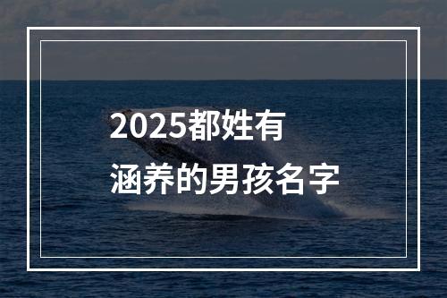 2025都姓有涵养的男孩名字
