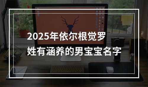 2025年依尔根觉罗姓有涵养的男宝宝名字