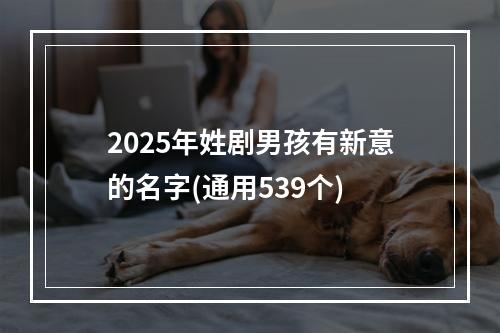 2025年姓剧男孩有新意的名字(通用539个)