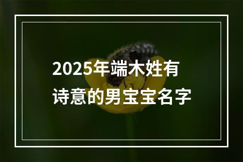 2025年端木姓有诗意的男宝宝名字