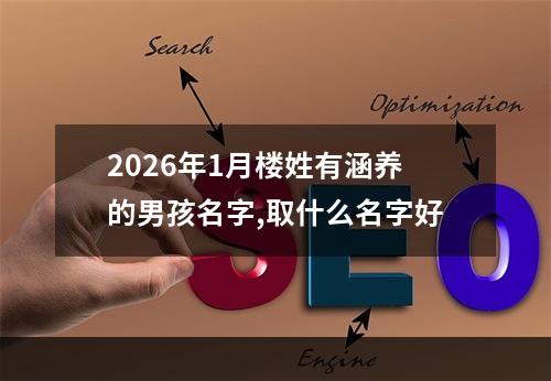 2026年1月楼姓有涵养的男孩名字,取什么名字好