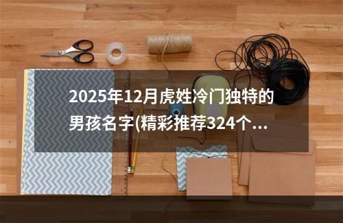 2025年12月虎姓冷门独特的男孩名字(精彩推荐324个)