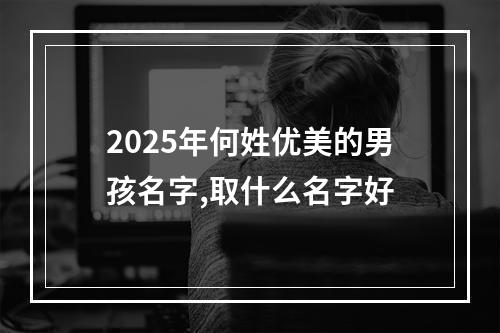 2025年何姓优美的男孩名字,取什么名字好
