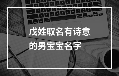 戊姓取名有诗意的男宝宝名字