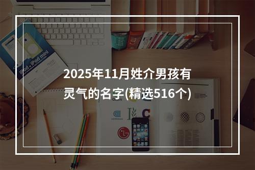 2025年11月姓介男孩有灵气的名字(精选516个)