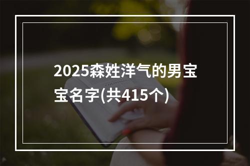 2025森姓洋气的男宝宝名字(共415个)