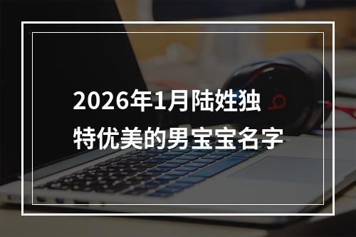 2026年1月陆姓独特优美的男宝宝名字
