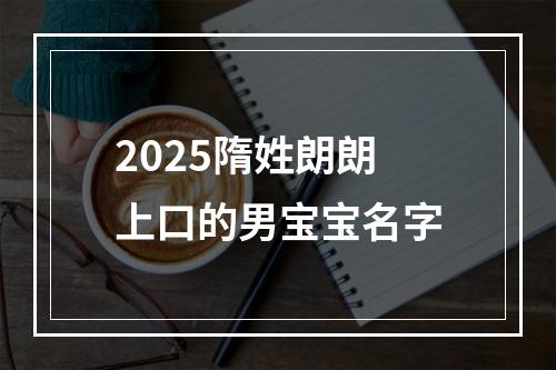 2025隋姓朗朗上口的男宝宝名字
