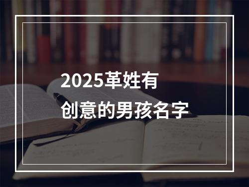 2025革姓有创意的男孩名字
