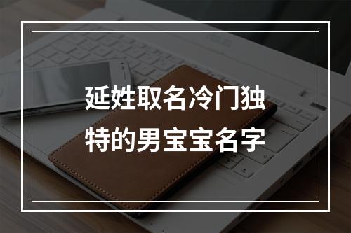 延姓取名冷门独特的男宝宝名字